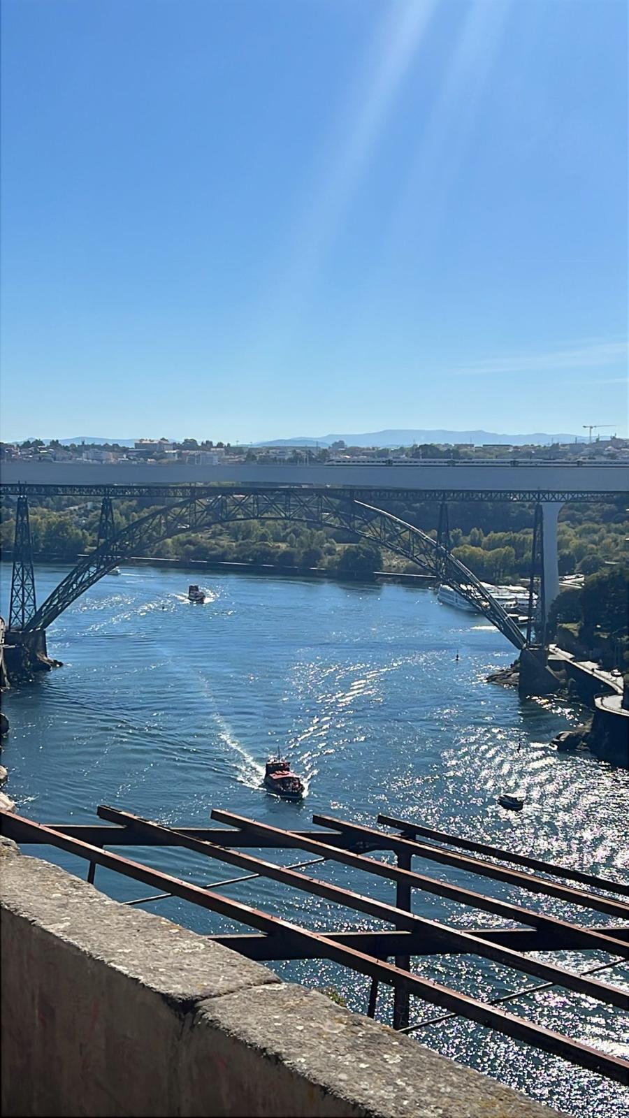 WhatsApp Image 2025 11 05 at 3.50.15 PM